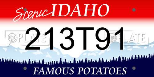 213T91 Idaho License Plate