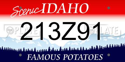 213Z91 Idaho License Plate