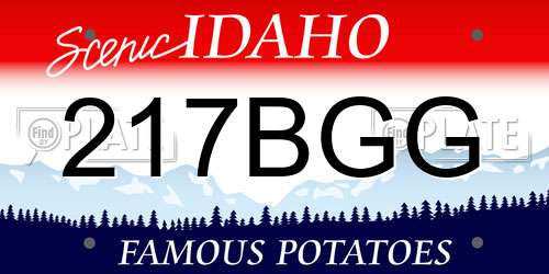 217BGG Idaho License Plate
