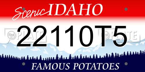 22110T5 Idaho License Plate