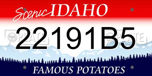 22191B5 Idaho License Plate