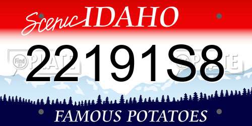 22191S8 Idaho License Plate