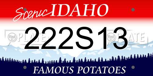222S13 Idaho License Plate