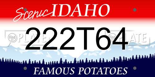 222T64 Idaho License Plate