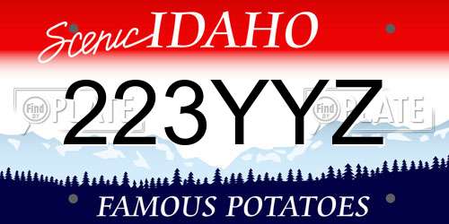 223YYZ Idaho License Plate
