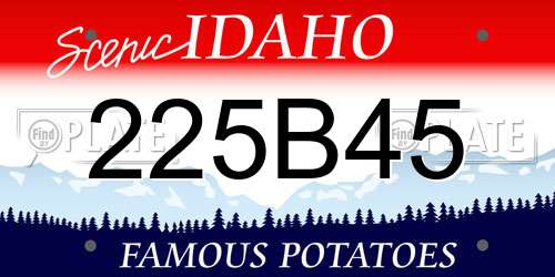 225B45 Idaho License Plate