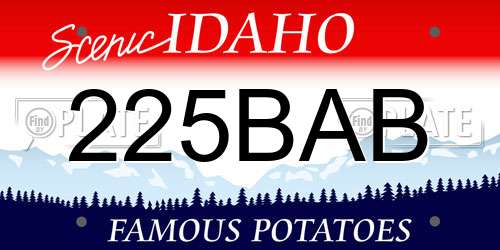 225BAB Idaho License Plate