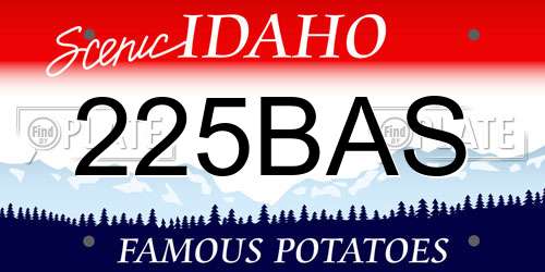 225BAS Idaho License Plate