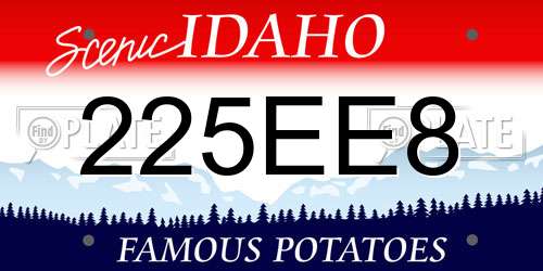 225EE8 Idaho License Plate
