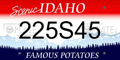 225S45 Idaho License Plate