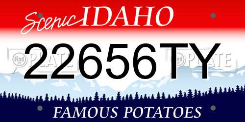 22656TY Idaho License Plate