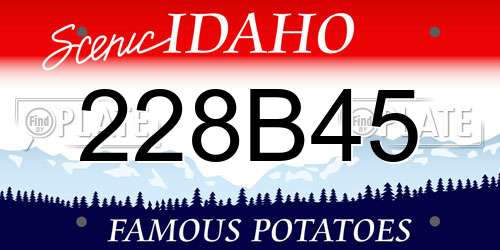 228B45 Idaho License Plate