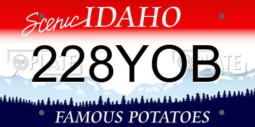 228YOB Idaho License Plate