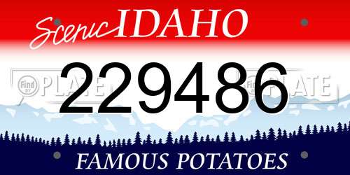 229486 Idaho License Plate