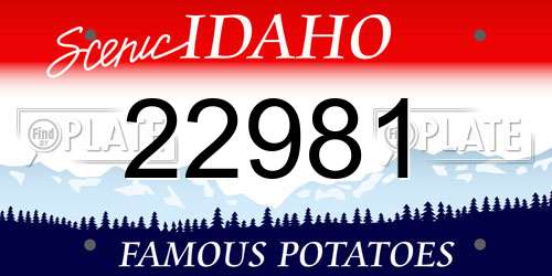 22981 Idaho License Plate