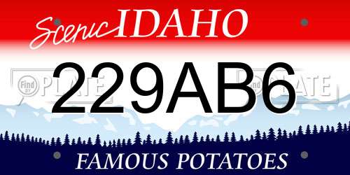 229AB6 Idaho License Plate