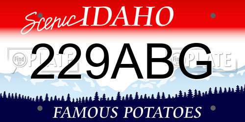 229ABG Idaho License Plate