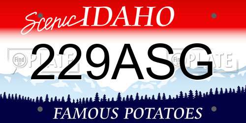 229ASG Idaho License Plate