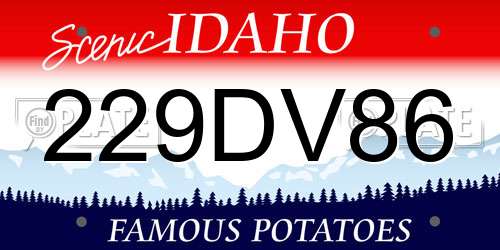 229DV86 Idaho License Plate