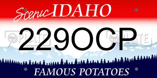 229OCP Idaho License Plate