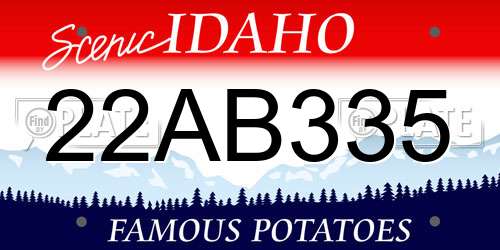22AB335 Idaho License Plate
