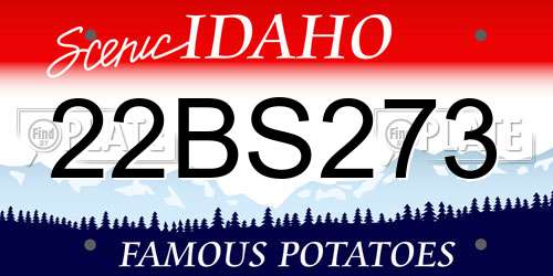 22BS273 Idaho License Plate