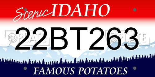 22BT263 Idaho License Plate