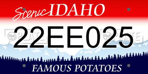 22EE025 Idaho License Plate