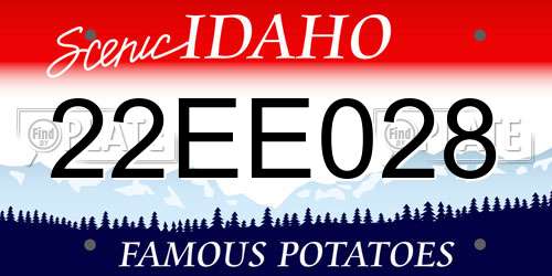 22EE028 Idaho License Plate
