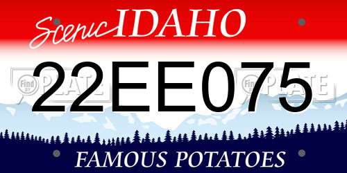 22EE075 Idaho License Plate
