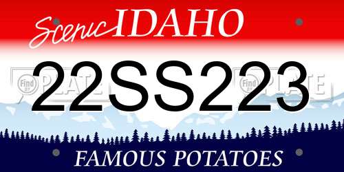 22SS223 Idaho License Plate