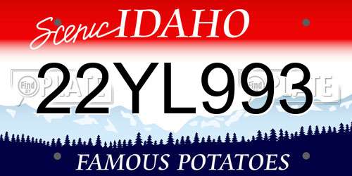 22YL993 Idaho License Plate
