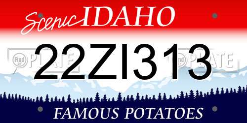 22ZI313 Idaho License Plate