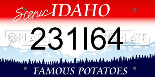231I64 Idaho License Plate