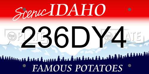 236DY4 Idaho License Plate