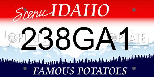 238GA1 Idaho License Plate
