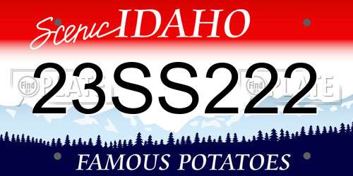 23SS222 Idaho License Plate