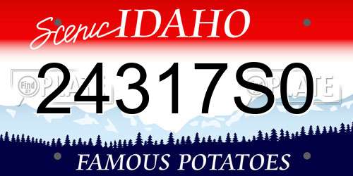 24317S0 Idaho License Plate