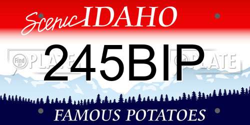 245BIP Idaho License Plate