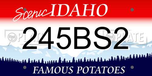 245BS2 Idaho License Plate