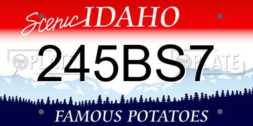 245BS7 Idaho License Plate