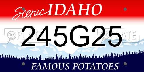 245G25 Idaho License Plate