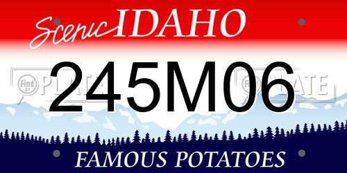 245M06 Idaho License Plate