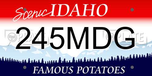 245MDG Idaho License Plate