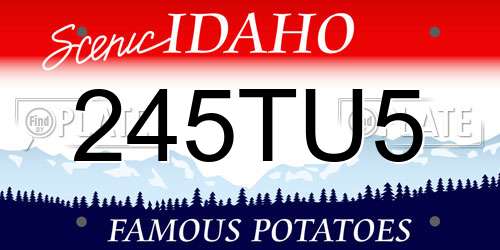 245TU5 Idaho License Plate