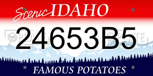 24653B5 Idaho License Plate