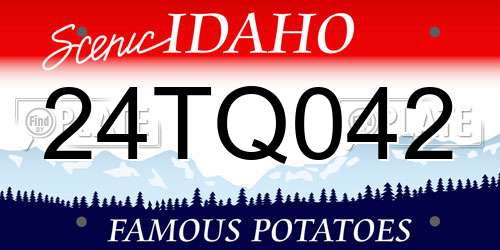 24TQ042 Idaho License Plate