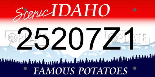 25207Z1 Idaho License Plate