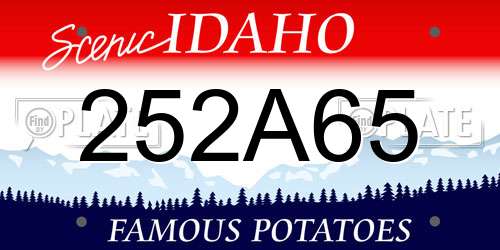 252A65 Idaho License Plate