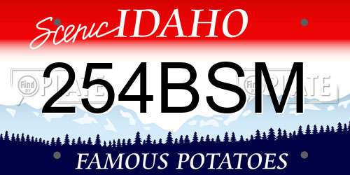 254BSM Idaho License Plate